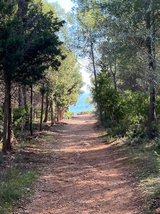 Villa Carmen Alcossebre Εξωτερικό φωτογραφία