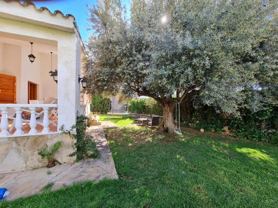 Villa Carmen Alcossebre Εξωτερικό φωτογραφία